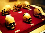 Museo Antropolgico