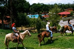 Puerto Palmeras